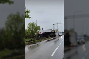 Marijampolėje į kelią išbėgęs briedis apvertė vilkiką