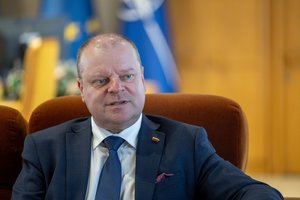 Saulius Skvernelis rėžė kritikos premjerui: „Reikėjo daryti ne taip“