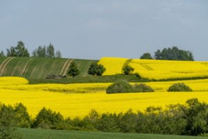Paskutinę pavasario savaitę – vasariški orai: temperatūra vietomis pasieks ir 25 laipsnius šilumos