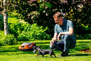 Metas sėti veją: kokias sėklas rinktis?