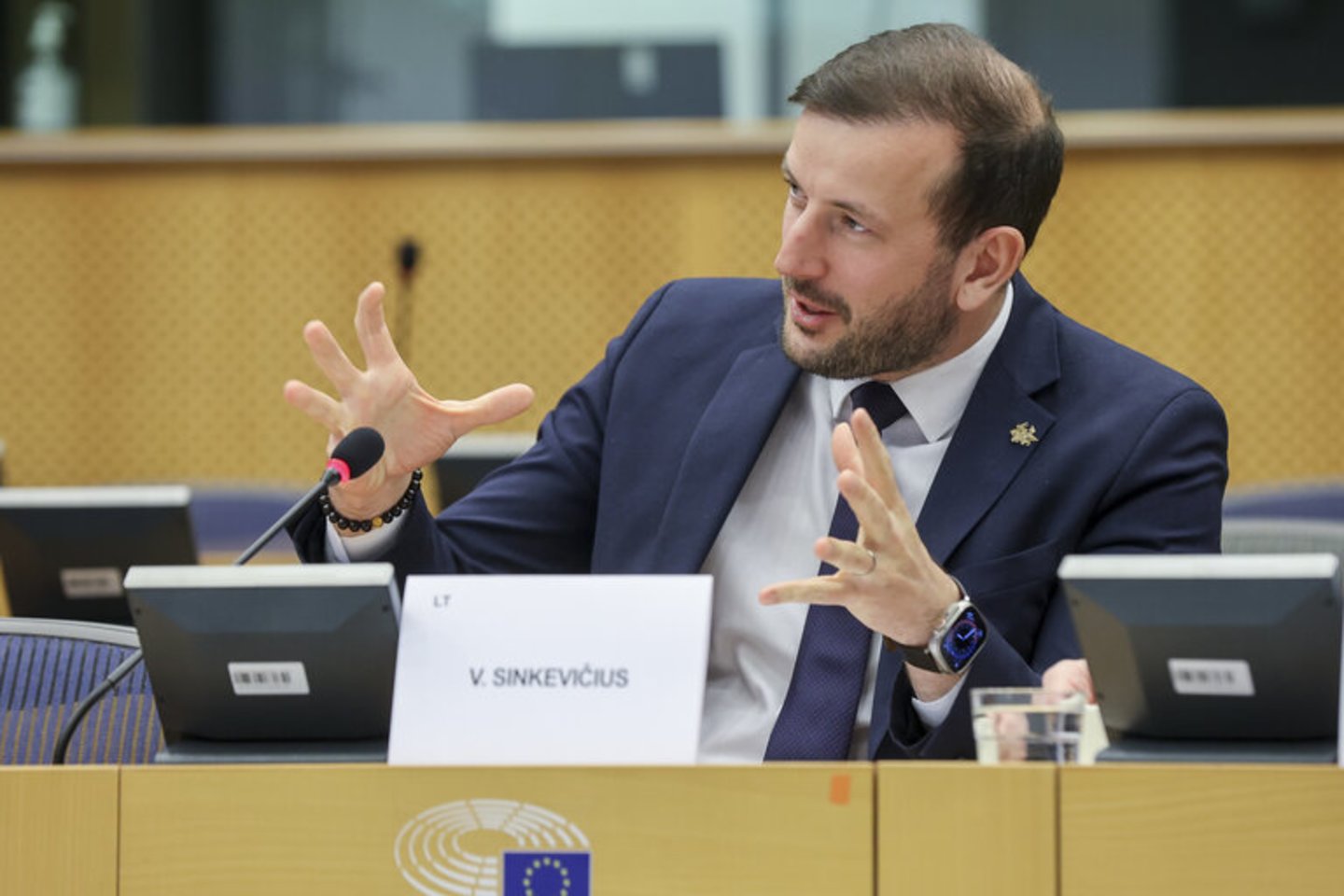 V.Sinkevičius.<br>EP nuotr.