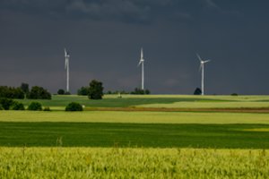 Premjeras apie šalnų paveiktus ūkius: be valstybės pagalbos jie gali neišgyventi