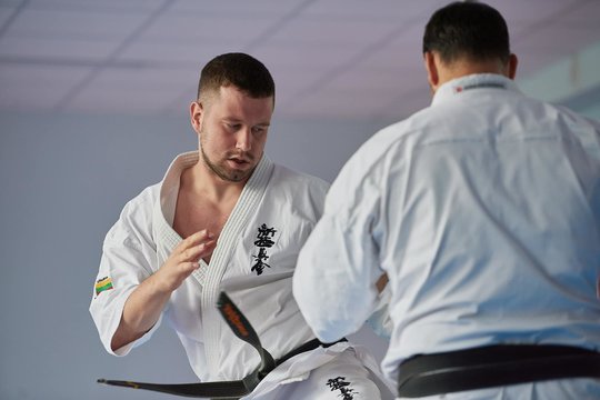 Pasaulio kiokušin karatė čempionas E. Gužauskas Tokijuje jau žino, kas Lietuvai būtų geriausia