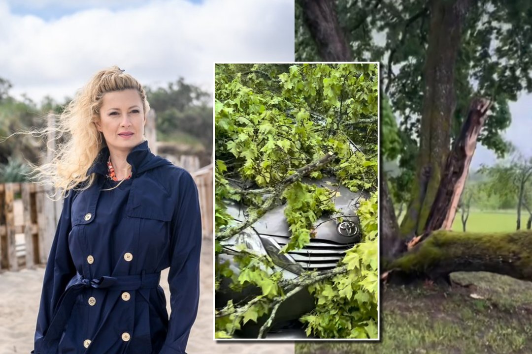 Renata Norvilė išgyveno tikrą siaubą: ant jos automobilio staiga užvirto medis