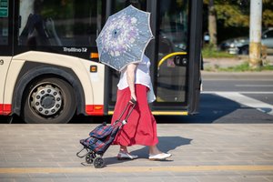 Pensijų pertvarkos svarstymo Seime teks palaukti: ekspertų prašo įvertinti, ar siūlymai atitinka KT sprendimą