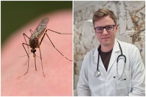 Atskleidė, kodėl uodai vienus žmones puola labiau nei kitus: ką rodo moksliniai tyrimai