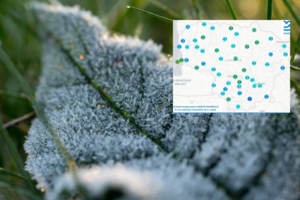 Vyriausybė skelbia valstybės lygio ekstremaliąją situaciją dėl šalnų