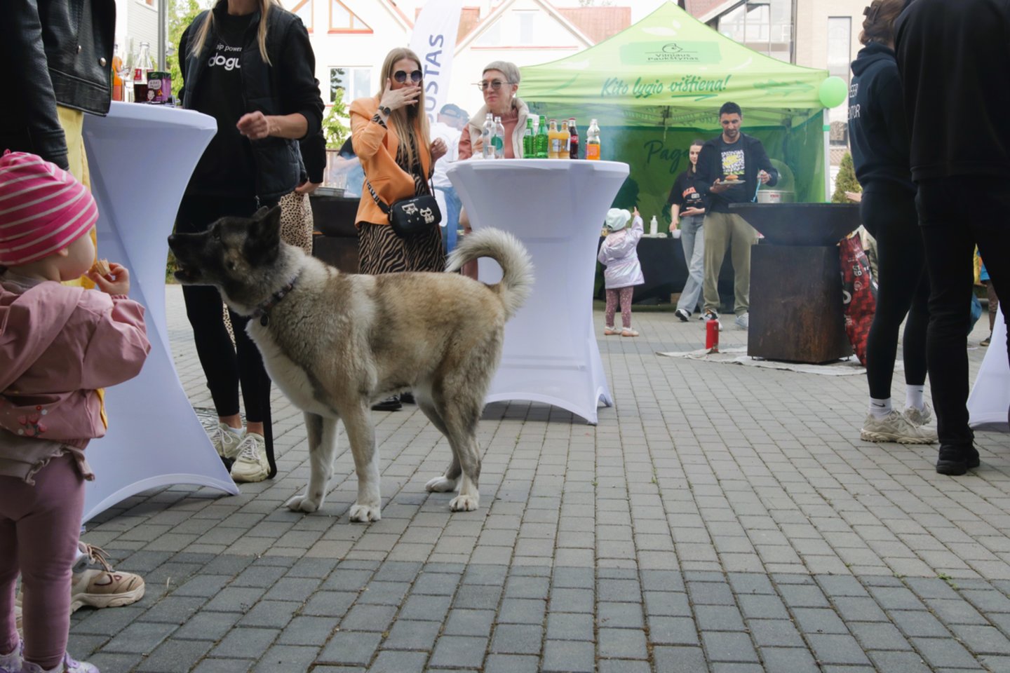Vilniuje paminėta Europos Kaimynų diena.
