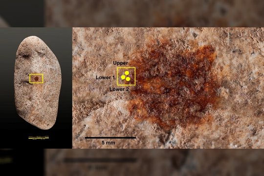 Surastas seniausias žmogaus piršto atspaudas – bet jį padarė ne mūsų rūšies atstovas