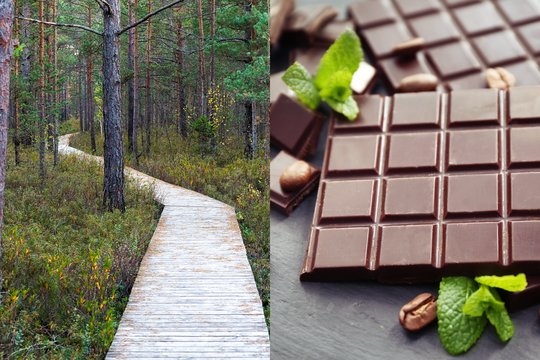 Pasivaikščiojimas – toks pat patrauklus kaip šokolado plytelė? Rezultatai intriguoja
