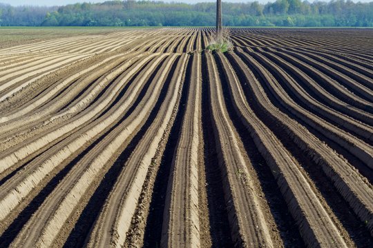 A. Veryga: žemės ūkis turi taikstytis su nauja realybe – klimato kaita jau įvykusi