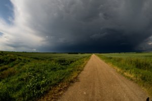 Ūkininkų košmarai dažnėja: stichijos kasmet pasiglemžia vis daugiau pasėlių