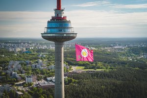 Ant Vilniaus TV bokšto iškilo milžiniška šaltibarščių vėliava: laukia vakarėlis su žinomais žmonėmis