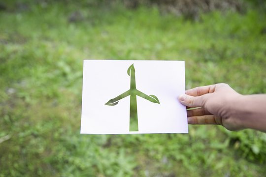Testas. Ką žinote apie žaliąjį smegenų plovimą ir kaip jį atpažinti?