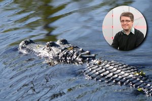 Kada Lietuvos gamtoje paskutinį kartą gyveno krokodilai?