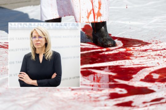 VMVT vadovė A. Mikalauskienė pratrūko: „Tuščių narvų“ spaudimas ties šantažo riba atvėrė vartus