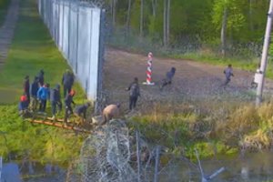 Lenkija pradėjo kampaniją, kuria siekia stabdyti migrantų plūsmą per Baltarusiją