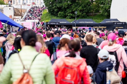 Minint šaltibarščių festivalį Vilnius nusidažė rožine spalva: suplūdo minios žmonių 