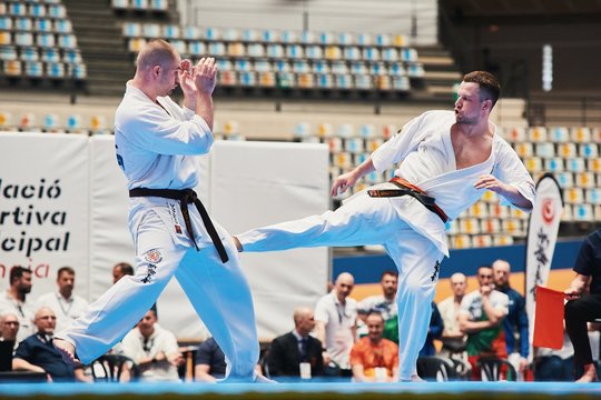 Pasaulio kiokušin karatė čempionatas Tokijuje: įspūdingi P. Žimanto ir E. Gužausko mūšiai