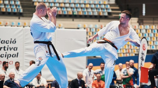 Pasaulio kiokušin karatė čempionatas Tokijuje: įspūdingi P. Žimanto ir E. Gužausko mūšiai