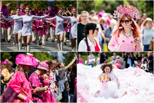 Vilnius lyg pro rožinius akinius: minios žmonių suplūdo į šaltibarščiams dedikuotą festivalį 