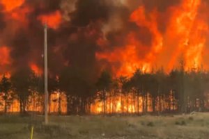 Kanadą ir toliau niokoja miškų gaisrai: vis daugiau gyventojų raginami evakuotis