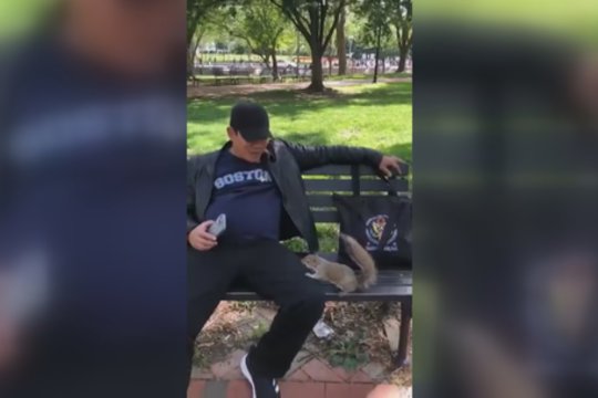 Tarp vyro ir voverės – netikėta draugystė: pastaroji negalėjo atsitraukti