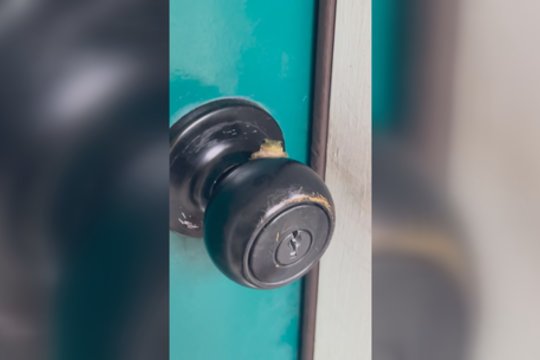 Durų rankeną lieskite atsargiau: svečius pasitinka netikėtas liokajus