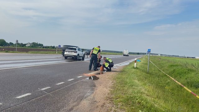 Trakų rajone – mirtinas eismo įvykis: žuvo automobilio partrenkta moteris