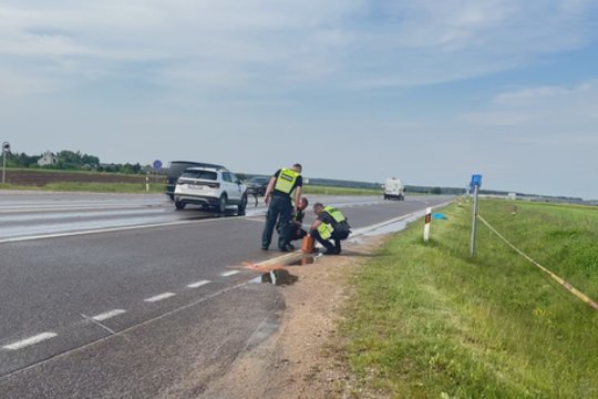 Trakų rajone – mirtinas eismo įvykis: žuvo automobilio partrenkta moteris