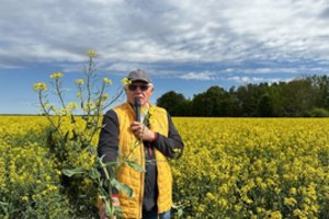 „Sudegintus“ dirvožemius imtasi reanimuoti: atgimė sena, bet itin efektyvi technologija – naudą jaučia ir piniginė