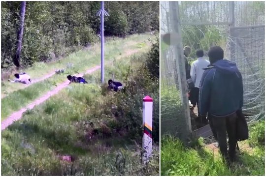 Bandė likti nematomais: Čepkelių rezervate į Lietuvą iš Baltarusijos atšliaužė 7 migrantai