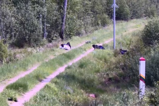 Šliauždami ir risdamiesi bandė patekti į Lietuvą: painios neteisėtų migrantų istorijos taip pat neįtikino
