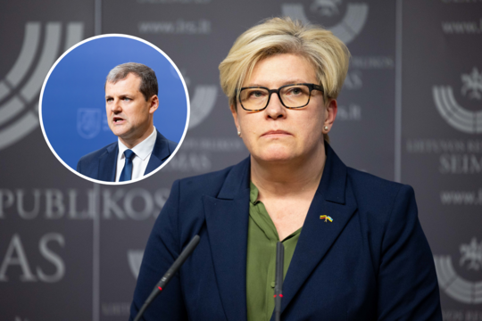I. Šimonytė rėžė apie kilusį G. Palucko skandalą: atsistatydinimas būtų natūralu
