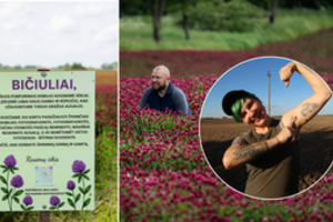 Šis dobilų laukas Lietuvoje jau tapo tikra sensacija: šeimininkė visiems turi tik vieną prašymą