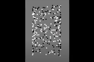 Paprasta iliuzija per kelias sekundes leidžia pasakyti, ar jums būdingas autizmas: ką čia matote?