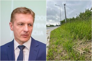 Klaipėdos valdžia kaip reikiant užpyko dėl nenušienautų teritorijų – už tai atsakingai įmonei skyrė baudą