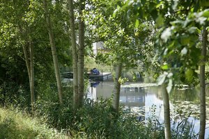 Žalia banga ritasi per Lietuvą: miestai stoja į gražiausios erdvės lenktynes