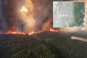 Lietuvą pasiekė dar viena porcija Kanados miškų gaisrų dūmų: atsakė, ar kelia grėsmę sveikatai