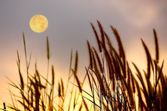 Kitą savaitę – išskirtinė metų pilnatis