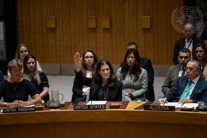 JAV vetavo JT Saugumo Tarybos rezoliuciją dėl Gazos Ruožo