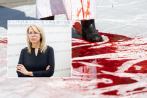 Drama dėl paršelių kastracijos tęsiasi: VMVT vadovę pasiekia šimtai laiškų – rašo ne tik gyvūnų sergėtojai