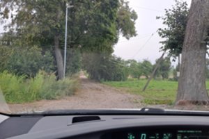 Gamtos stichijų akivaizdoje atsidūrusioje Lietuvoje – nerimą kelianti statistika: elektros trikdžiai nuostolius daro dažnam gyventojui