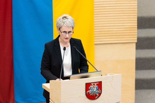 N. Grunskienė: tyrimuose dėl sabotažų – daugiau įtariamųjų