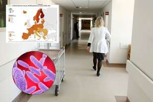 Europoje rekordiškai plinta mirtina liga: žmogus užsikrečia per maistą, ima viduriuoti krauju