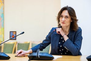 V. Čmilytė-Nielsen ramina aistras: sprendimai dėl NT mokesčio yra taktiniai