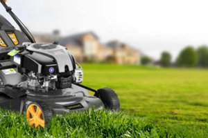 Benzininės savaeigės žoliapjovės: geriausi ir galingiausi 2025-ųjų modeliai