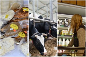 I. Hofmanas: didžiausia pajamų dalis pieno tiekimo grandinėje tenka prekybininkams