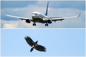 Į Zadarą pakilti turėjęs lėktuvas įstrigo Kaune: įtaria susidūrimą su paukščiu