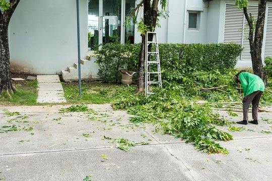 Vakarykštė audra gali kainuoti tūkstančius – ką būtina padaryti jau šiandien?